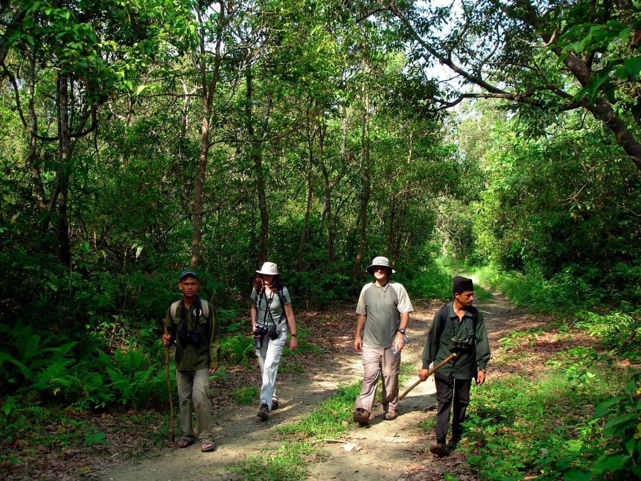 Park Safari Resort Sauraha Exteriör bild