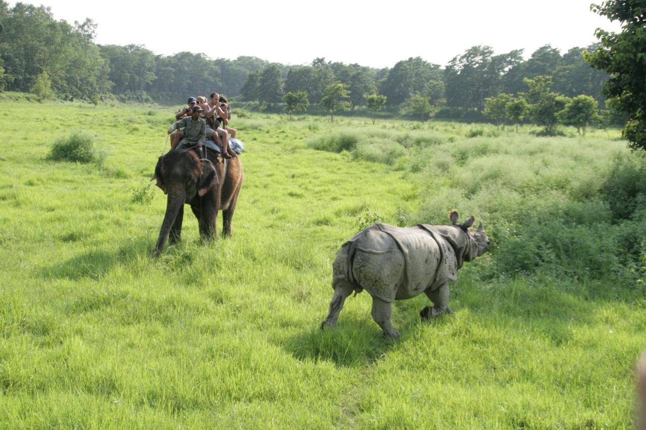 Park Safari Resort Sauraha Exteriör bild